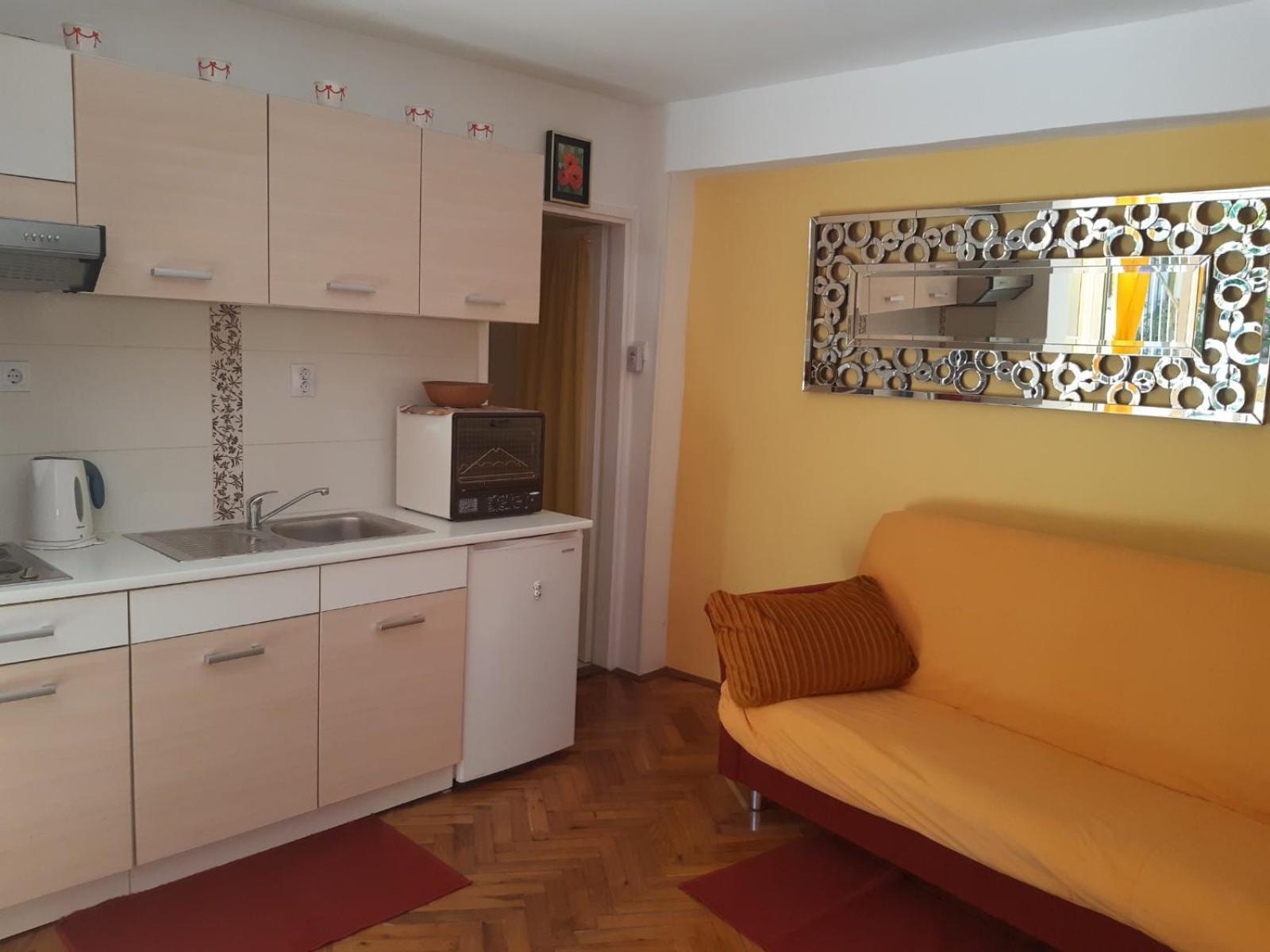 Apartments Palm House 로비니 객실 사진